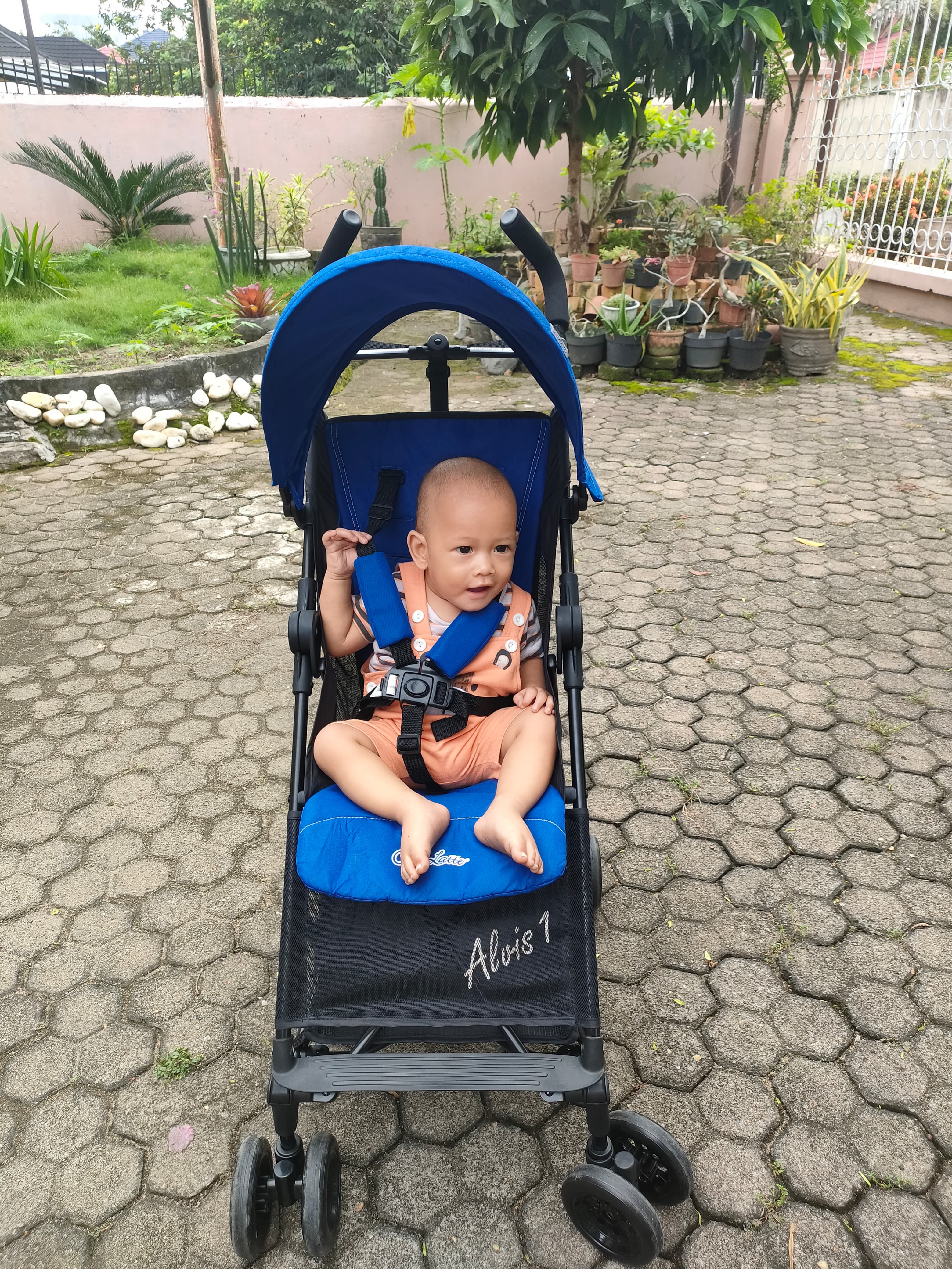 STROLLER ALVIS